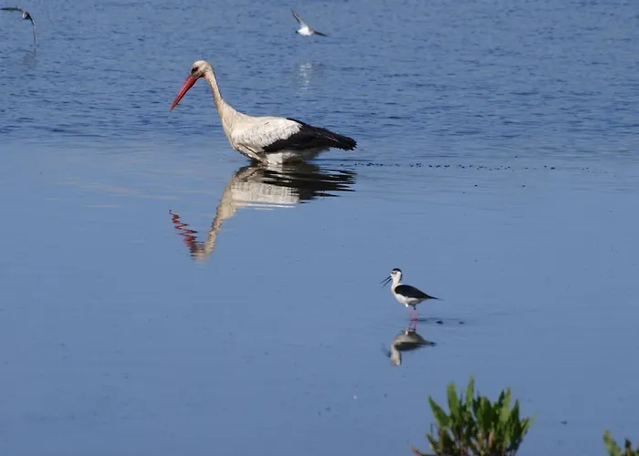 Maila Сasa de vacaciones